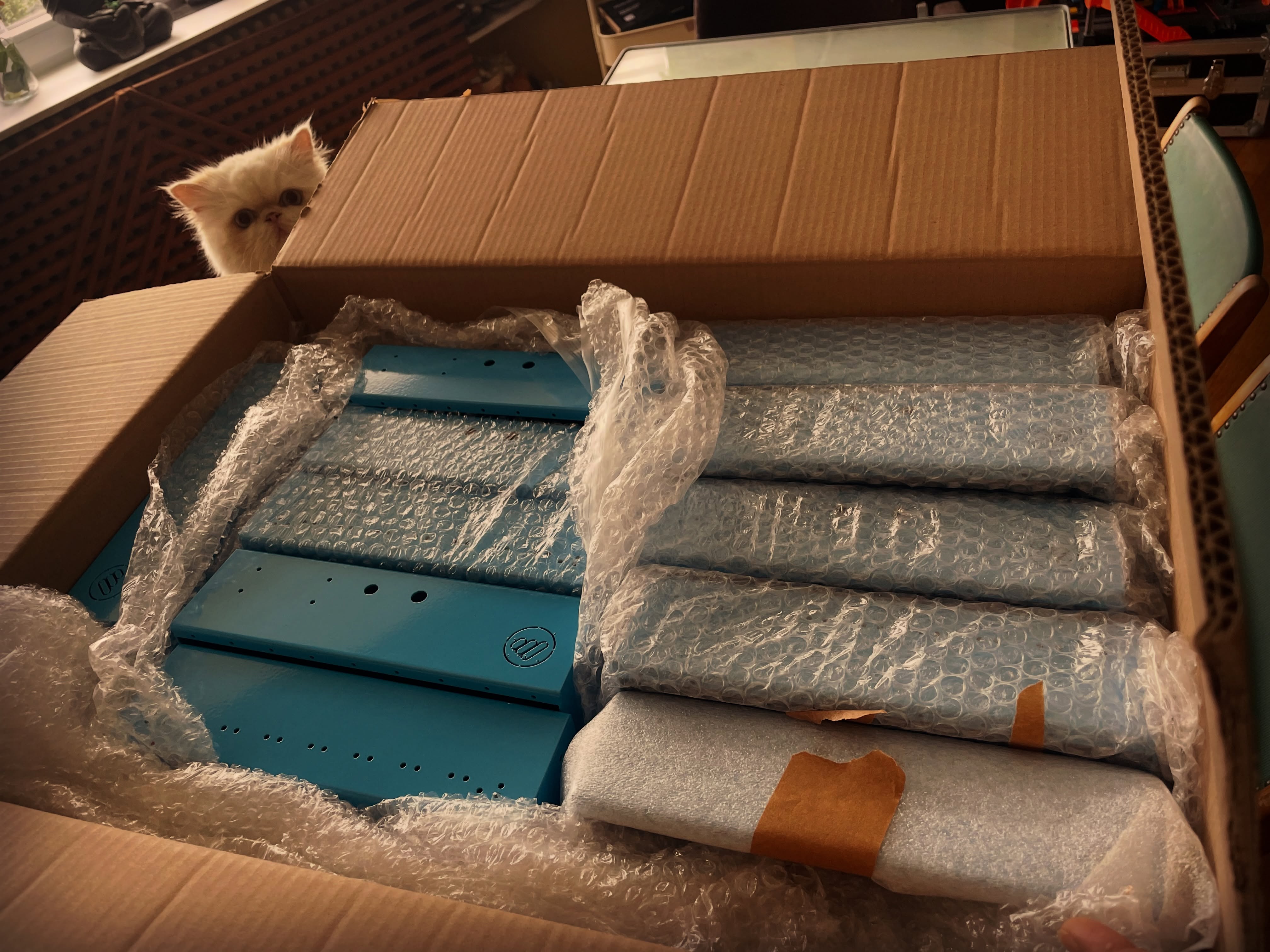 Tiny blue slim cases are finally in